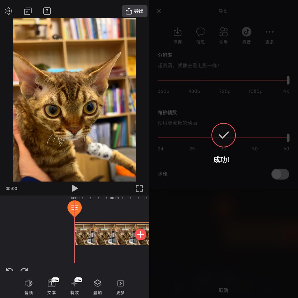 图片[1]-Videoleap  2.72  解锁会员版本-IPA资源站-iOS睿睿